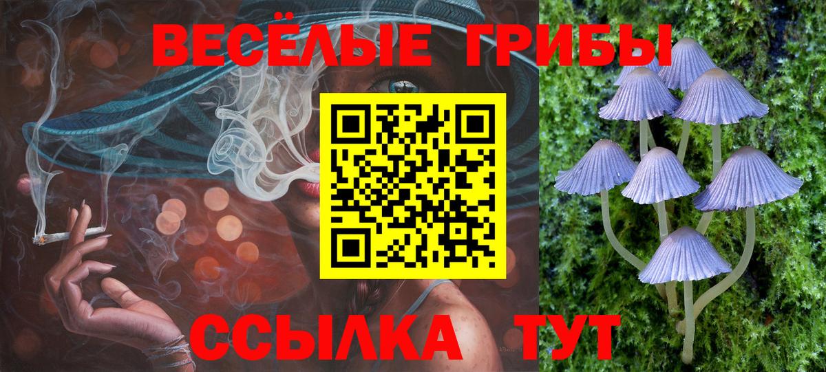 Псилоцибиновые грибы прущие грибы  Вход с VPN  Галлюциногенные грибы Psilocybe  Георгиевск 