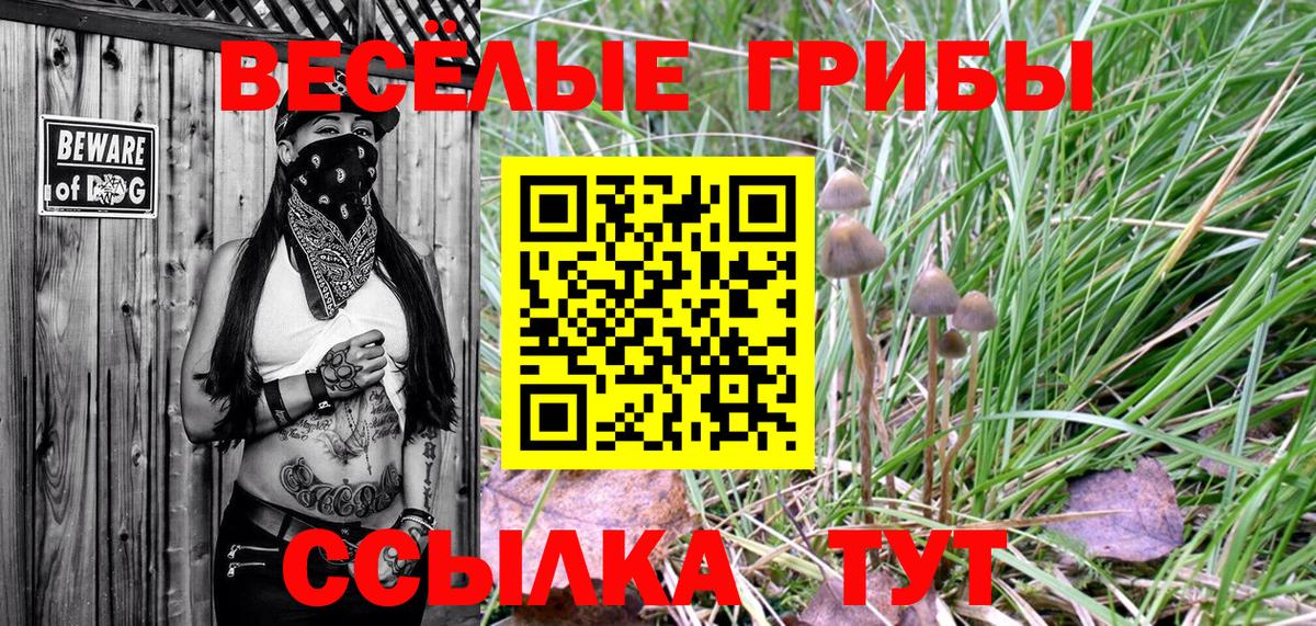 Псилоцибиновые грибы прущие грибы Георгиевск